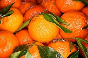Clementine_oranges